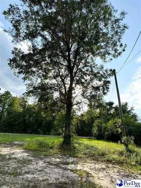 4088 Cherry Johnson Rd, Effingham, SC 29541 photo 10