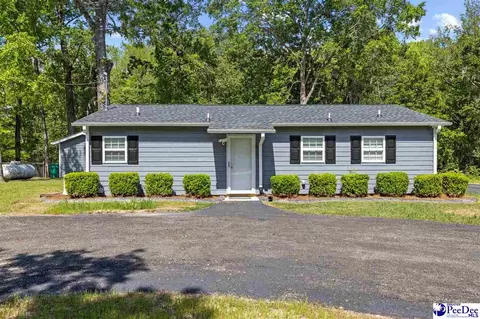 2963 Miss Annie Ct, Gresham, SC 29546 photo 1