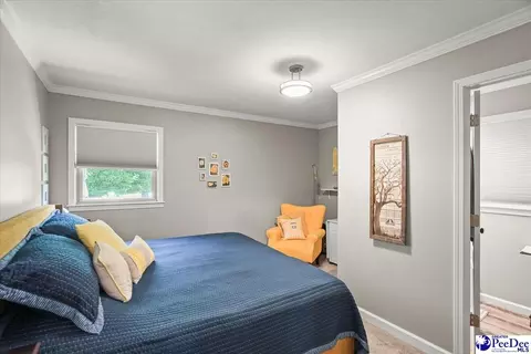 304 Diane Dr, Cheraw, SC 29520 photo 21