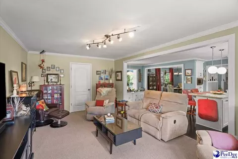 304 Diane Dr, Cheraw, SC 29520 photo 11