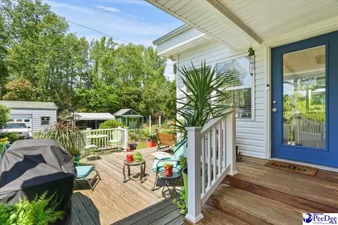 304 Diane Dr, Cheraw, SC 29520 photo 34