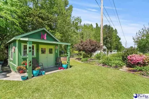 304 Diane Dr, Cheraw, SC 29520 photo 39