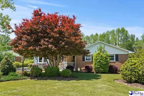 304 Diane Dr, Cheraw, SC 29520 photo 1