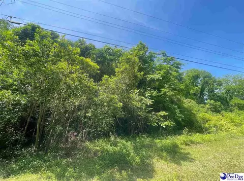 7 Tote Rd, Cheraw, SC 29520 photo 1