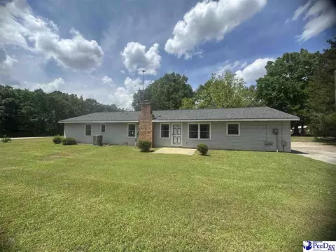 133 Bobwhite Rd, Cheraw, SC 29520 photo 4