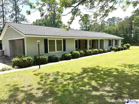 133 Bobwhite Rd, Cheraw, SC 29520 photo 2