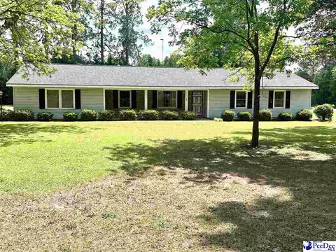 133 Bobwhite Rd, Cheraw, SC 29520 photo 29
