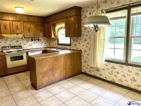 133 Bobwhite Rd, Cheraw, SC 29520 photo 8