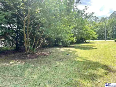 133 Bobwhite Rd, Cheraw, SC 29520 photo 5