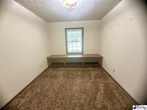 133 Bobwhite Rd, Cheraw, SC 29520 photo 16