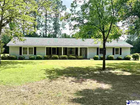 133 Bobwhite Rd, Cheraw, SC 29520 photo 1