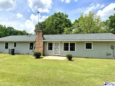 133 Bobwhite Rd, Cheraw, SC 29520 photo 3