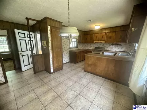 133 Bobwhite Rd, Cheraw, SC 29520 photo 9