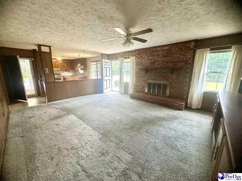 133 Bobwhite Rd, Cheraw, SC 29520 photo 11
