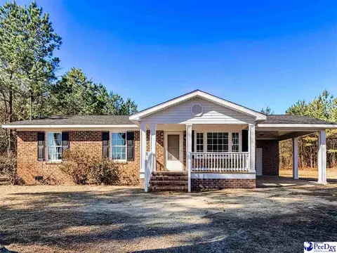 1851 Minturn Rd, Dillon, SC 29536