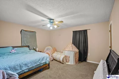 244 Depot St, Mount Croghan, SC 29727 photo 23