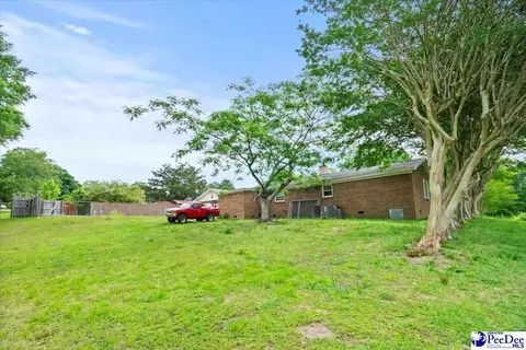 244 Depot St, Mount Croghan, SC 29727 photo 7