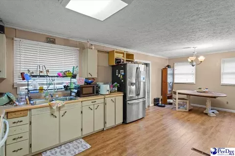 244 Depot St, Mount Croghan, SC 29727 photo 11