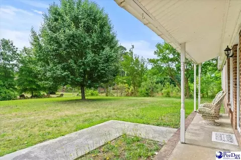 244 Depot St, Mount Croghan, SC 29727 photo 6