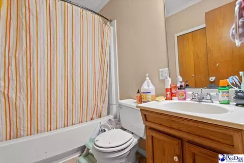 244 Depot St, Mount Croghan, SC 29727 photo 19