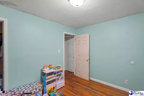 244 Depot St, Mount Croghan, SC 29727 photo 18