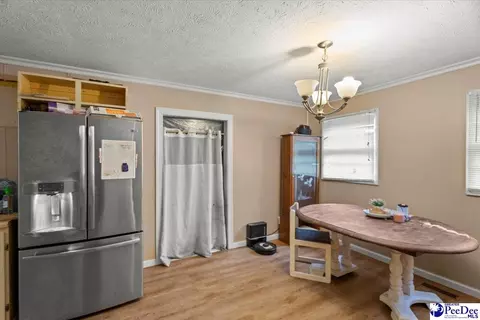 244 Depot St, Mount Croghan, SC 29727 photo 14
