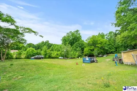 244 Depot St, Mount Croghan, SC 29727 photo 8