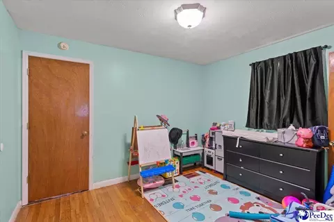244 Depot St, Mount Croghan, SC 29727 photo 17