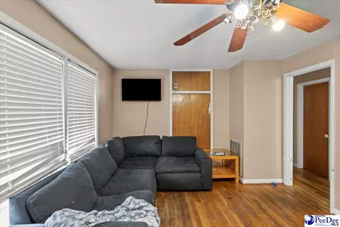 244 Depot St, Mount Croghan, SC 29727 photo 16