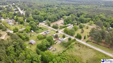 244 Depot St, Mount Croghan, SC 29727 photo 32