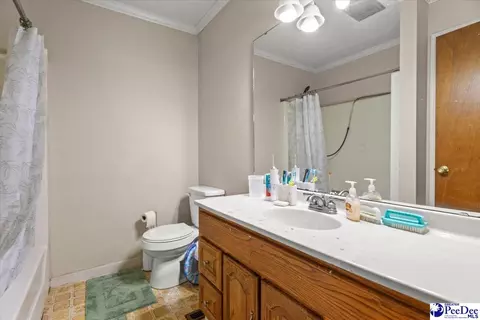 244 Depot St, Mount Croghan, SC 29727 photo 25