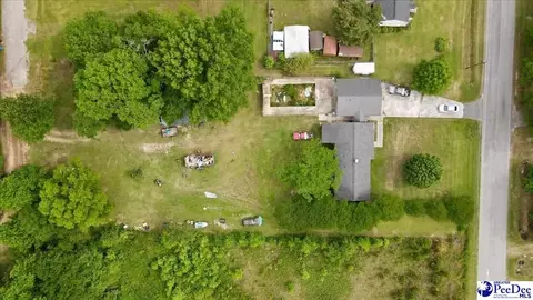 244 Depot St, Mount Croghan, SC 29727 photo 30