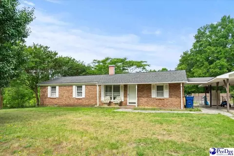 244 Depot St, Mount Croghan, SC 29727 photo 2