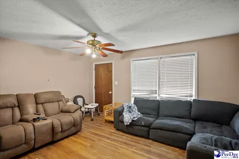 244 Depot St, Mount Croghan, SC 29727 photo 15
