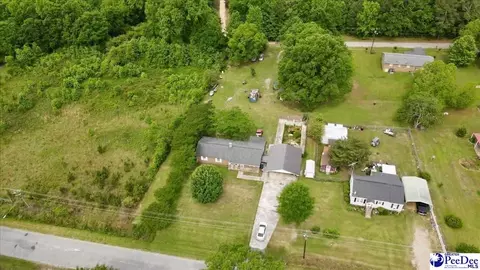 244 Depot St, Mount Croghan, SC 29727 photo 29