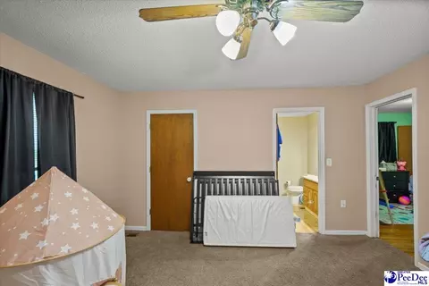 244 Depot St, Mount Croghan, SC 29727 photo 24
