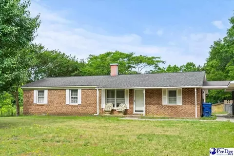 244 Depot St, Mount Croghan, SC 29727 photo 3