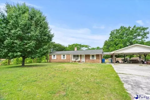 244 Depot St, Mount Croghan, SC 29727 photo 4