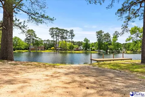 3250 Hampton Pointe Dr, Florence, SC 29501 photo 57