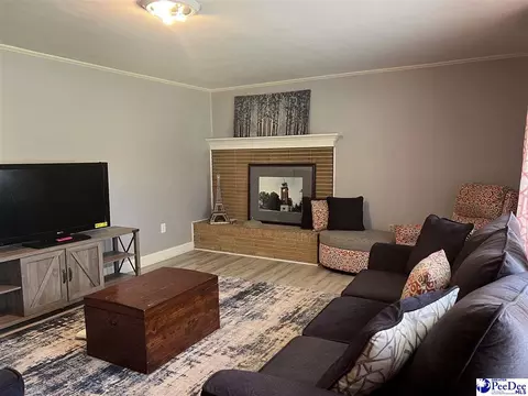 5 Hamden Cir, Cheraw, SC 29520 photo 7