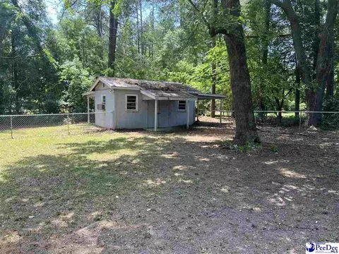 5 Hamden Cir, Cheraw, SC 29520 photo 31