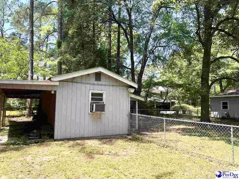5 Hamden Cir, Cheraw, SC 29520 photo 35
