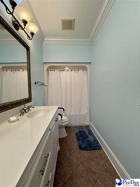 1219 Richard St, Dillon, SC 29536 photo 49