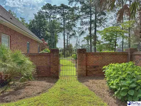 1219 Richard St, Dillon, SC 29536 photo 12