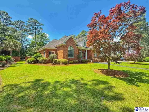 1219 Richard St, Dillon, SC 29536 photo 58