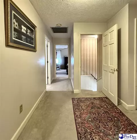 1217 Hillside Dr, Dillon, SC 29536 photo 57
