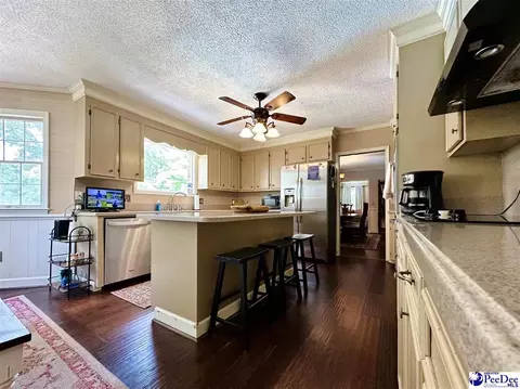 1217 Hillside Dr, Dillon, SC 29536 photo 48