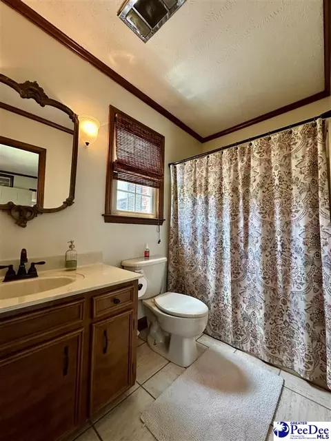 1217 Hillside Dr, Dillon, SC 29536 photo 31