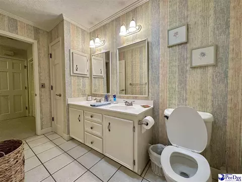 1217 Hillside Dr, Dillon, SC 29536 photo 64