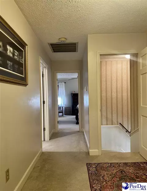 1217 Hillside Dr, Dillon, SC 29536 photo 56